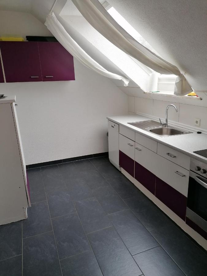 Ferienwohnung Mannes Lauingen Dış mekan fotoğraf